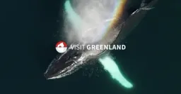 Greenland Holdings