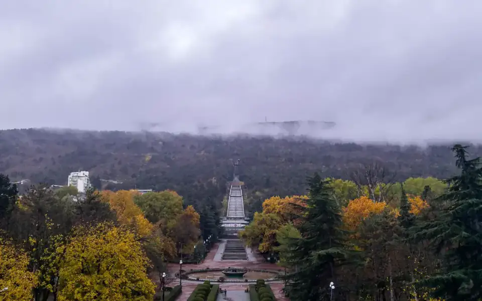 ცხვარიჭამია