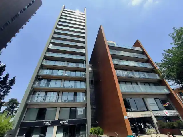 Domus Chavchavadze 49 — Photos 2