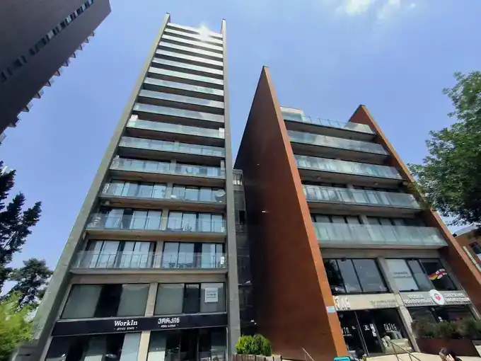 Domus Chavchavadze 49