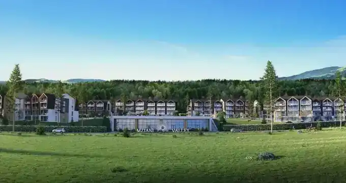 Mziani Valley — Gallery View 1