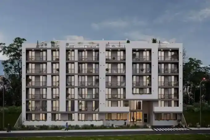Roof Development — portfolio