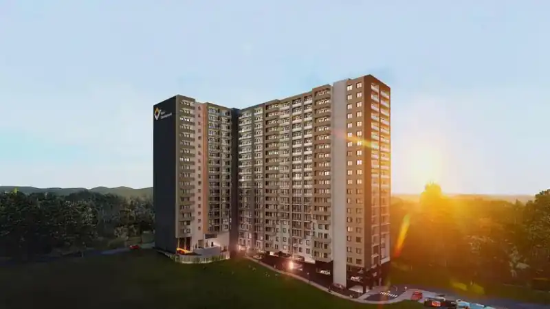 Roof Development — portfolio