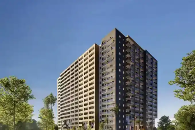 Roof Development — portfolio